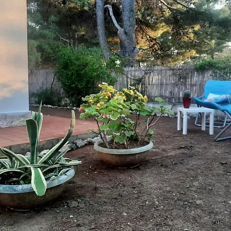 Antonia's - Casa Per Le Vacanze Con Giardino E Veranda Attrezzati * San Domino